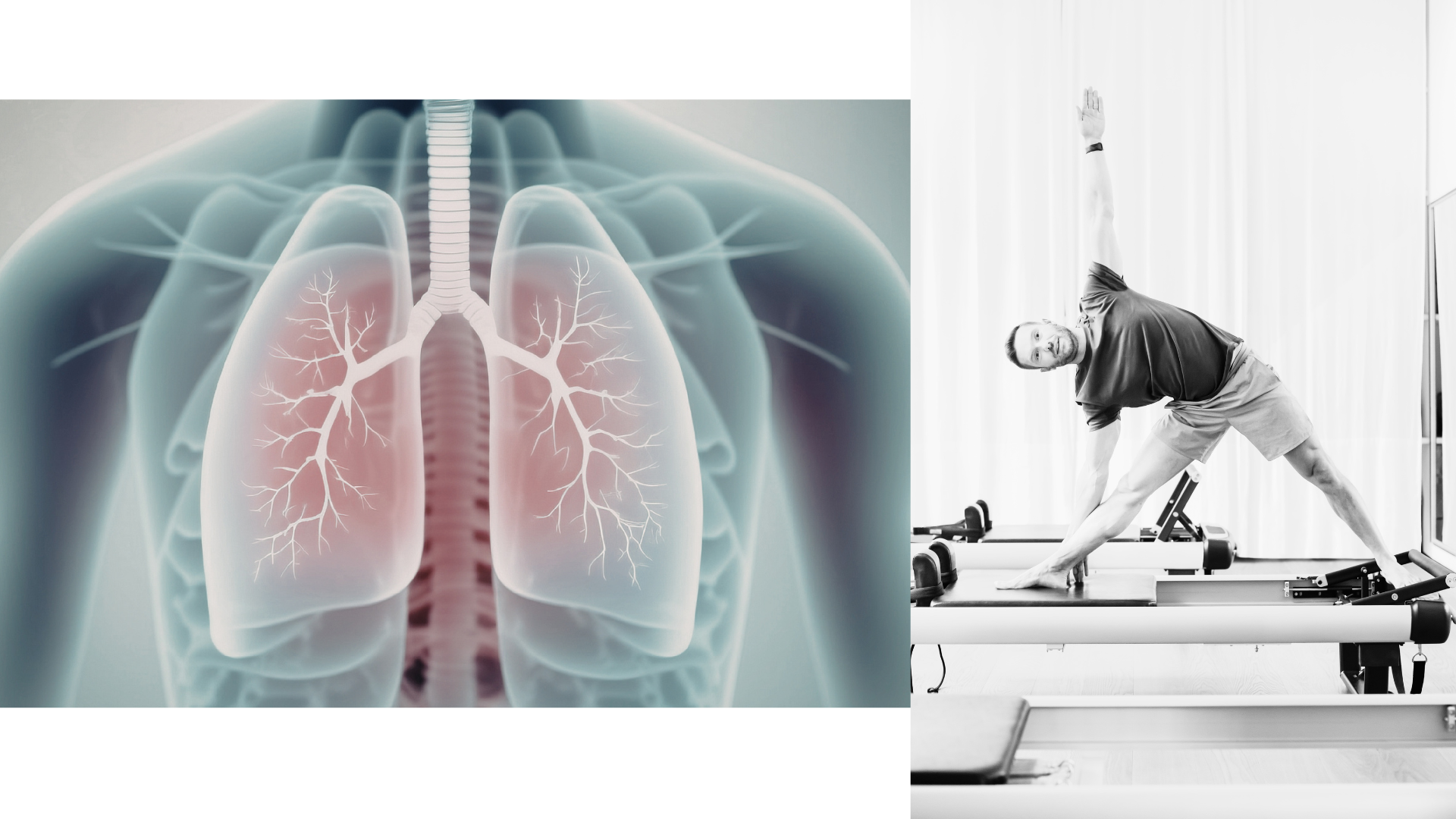 ピラティス生理学の画像