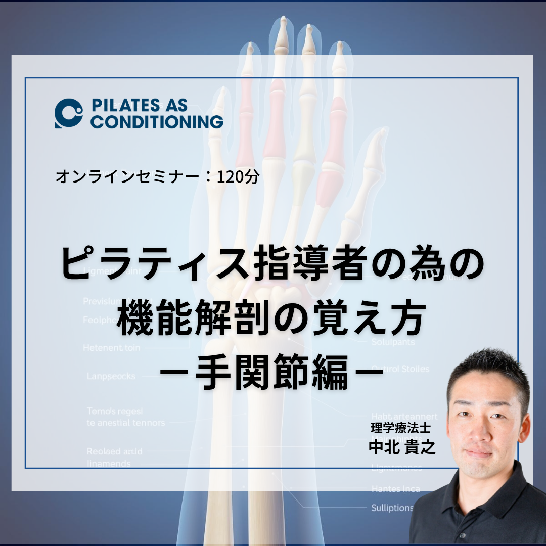 5月オンラインセミナー：ピラティス指導者の為の機能解剖の覚え方－手関節編－